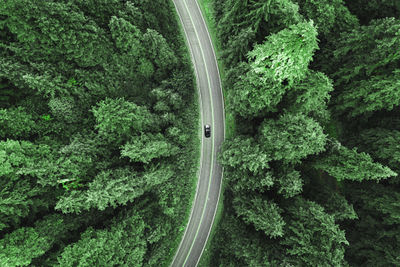 High angle view of road amidst trees in forest