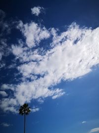 Low angle view of palm trees against blue sky