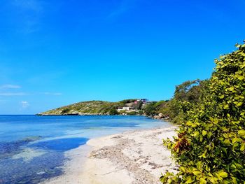 Scenic view of sea against clear blue sky