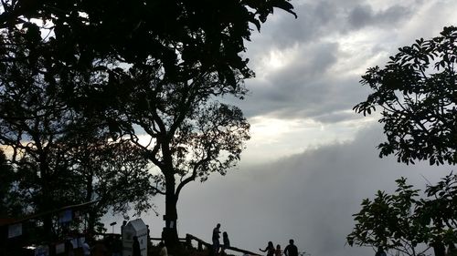 Silhouette trees against sky