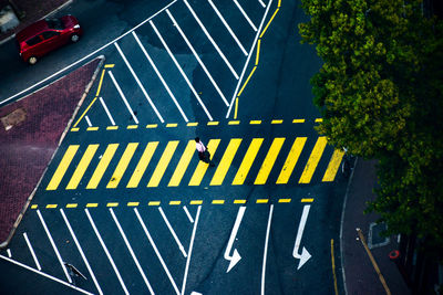 High angle view of road amidst trees in city