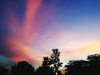 Silhouette of trees at sunset