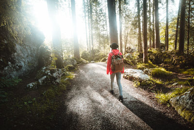 Woman walking on footpath in forest