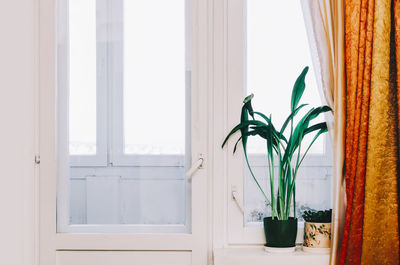 Close-up of vase against window at home