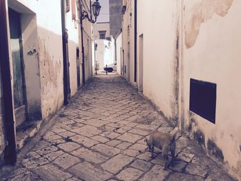 Narrow alley with buildings in background