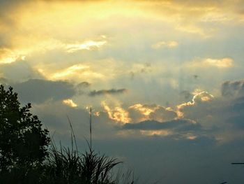 Silhouette trees against sky at sunset