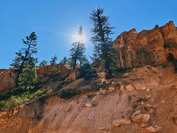 Rock formation amidst trees against sky