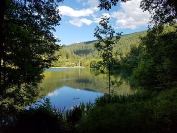 Scenic view of lake by trees against sky