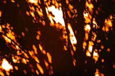 Close-up of fire in the dark