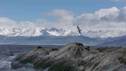 Scenic view of snowcapped mountains against sky