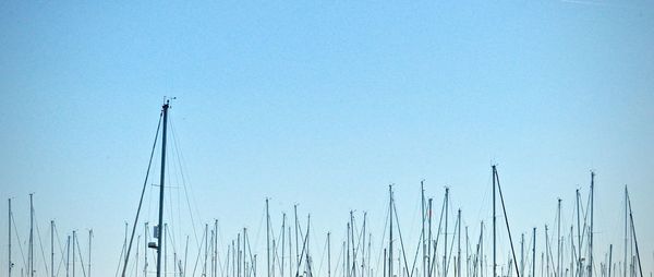 Grass against clear blue sky