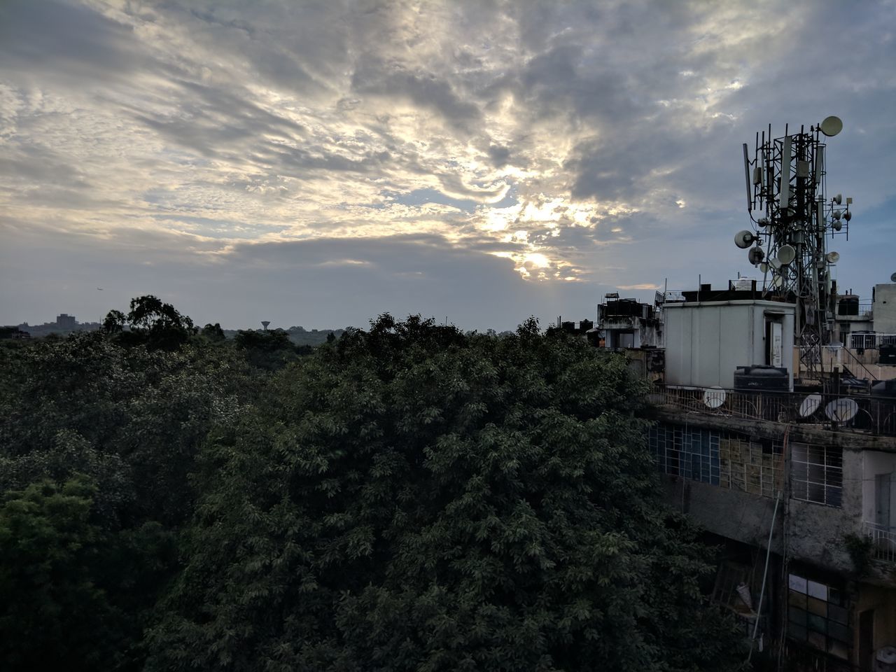 LOW ANGLE VIEW OF TREES AND BUILDINGS AGAINST SKY