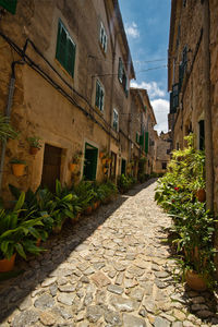 Narrow alley amidst buildings in city