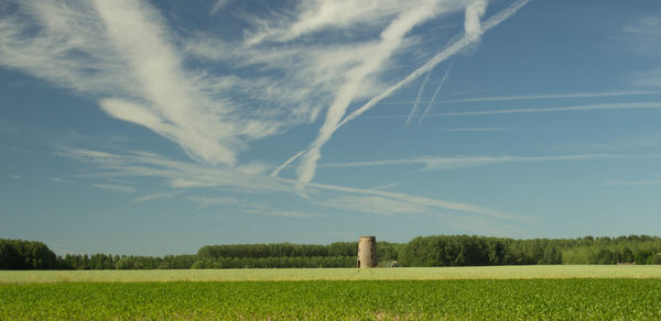 Scenic view of agricultural field against sky