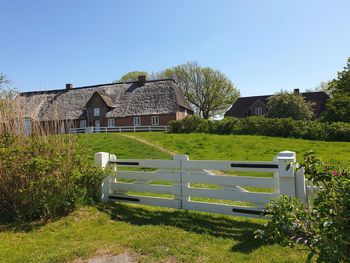 Plants growing on field by building against clear blue sky