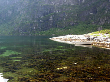 Scenic view of lake in forest