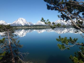 Scenic view of lake by trees against blue sky