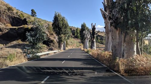 Exploring la palma