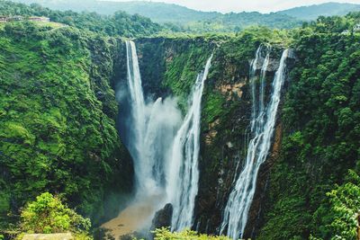 Scenic view of waterfall in forest