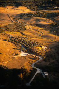 Panoramic view on olive plantations, and rustic streets. ideal for travel and nature designs, 