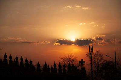 Silhouette trees and plants against sky during sunset