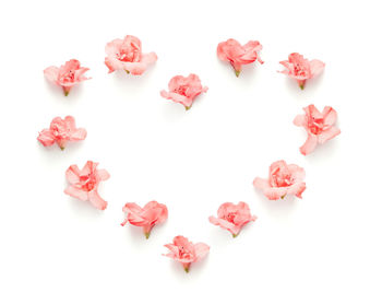 Close-up of flowers arranged in heart shape against white background