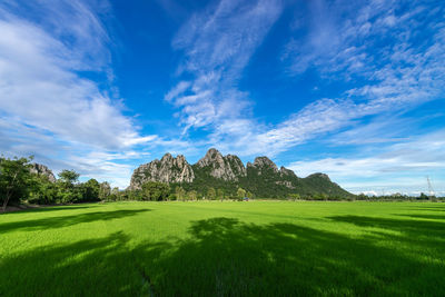 Beautiful mountain on blue sky background , rice fields foreground , nakhon sawan province 