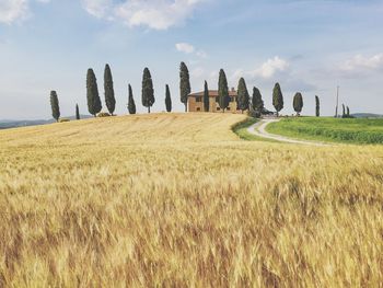 Panoramic shot of agricultural field against sky