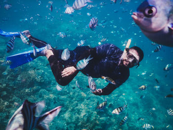 Man swimming in sea