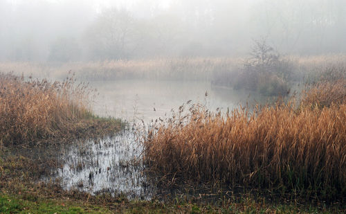 Scenic view of lake against sky