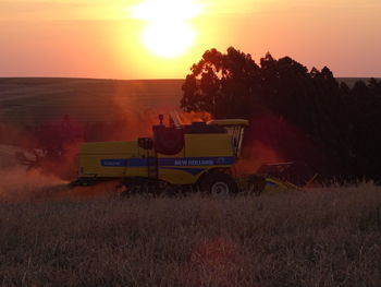 Scenic view of agricultural field against sky during sunset