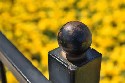 Close-up of rusty metal railing