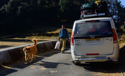 Rear view of person with dog standing on road