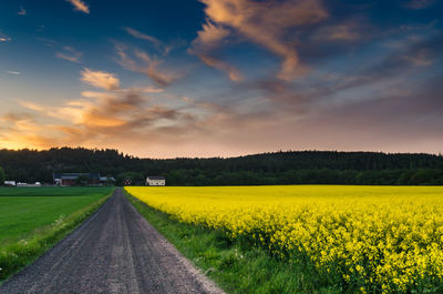 Scenic view of field against sky during sunset