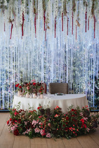 Potted plants on table