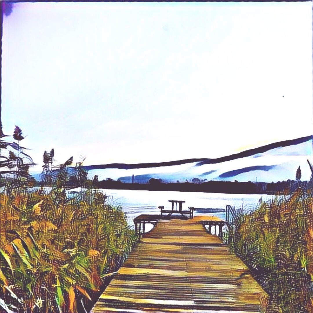 VIEW OF BOARDWALK ON LANDSCAPE