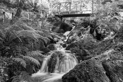 View of waterfall in forest