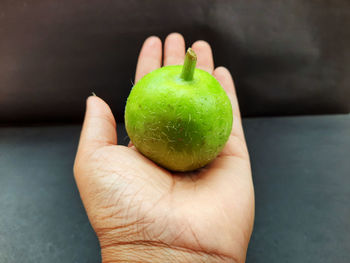 Close-up of hand holding fruit