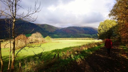 Scenic view of field against sky