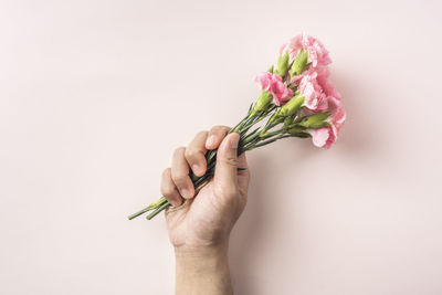 Close-up of hand holding bouquet against white background