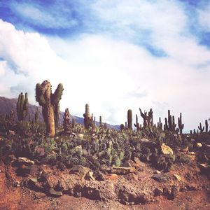 Scenic view of field against cloudy sky