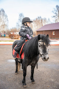 Man riding horse