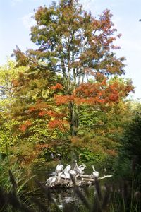 View of bird by plants against the lake