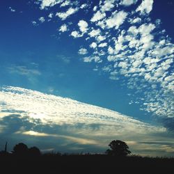 Low angle view of silhouette trees against sky