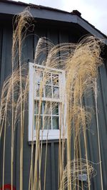 Close-up of built structure against the sky