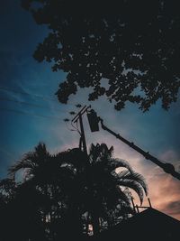 Low angle view of silhouette tree against sky