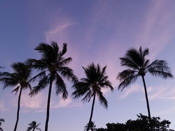 Low angle view of silhouette palm trees against sky