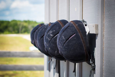 Close-up of black hanging