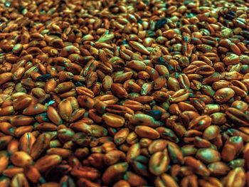 Full frame shot of coffee beans