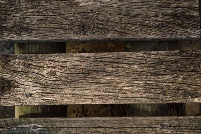 Full frame shot of wooden log